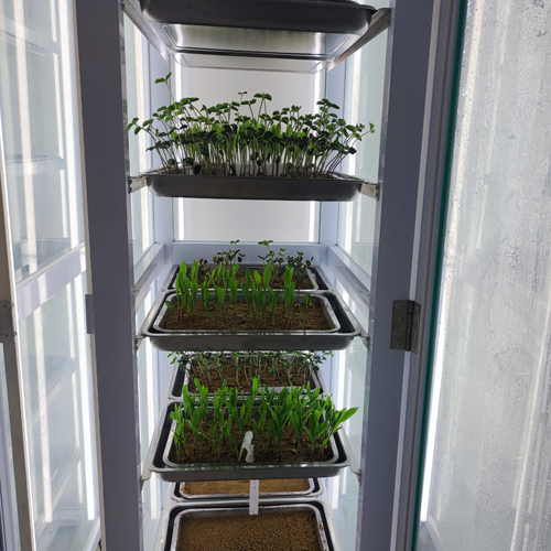 種子發(fā)芽室